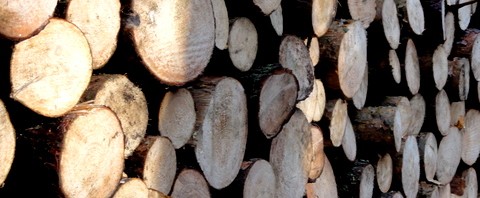 Dlaczego drewno ? cz.2